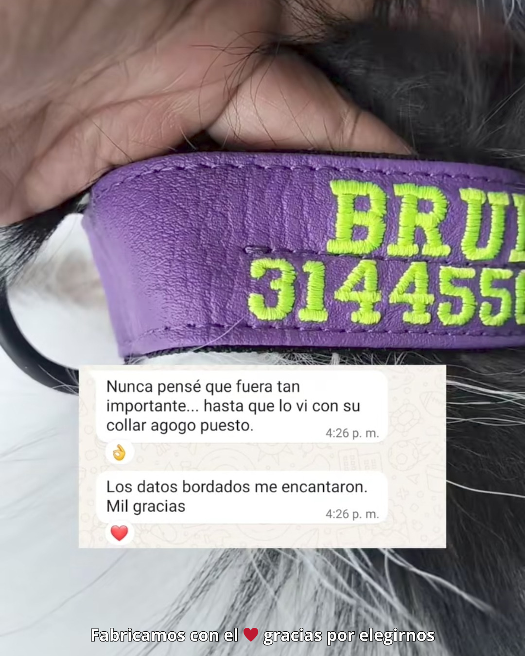 testimonio collar